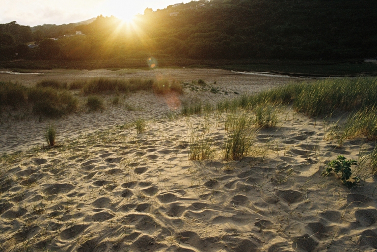 sunset on a beach