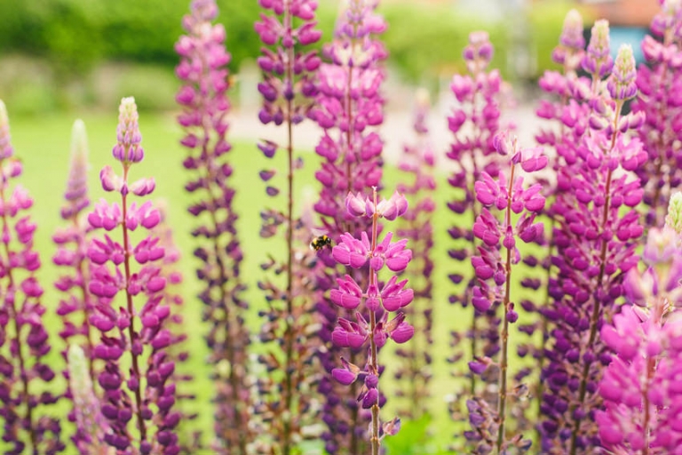 west midlands wedding photographer