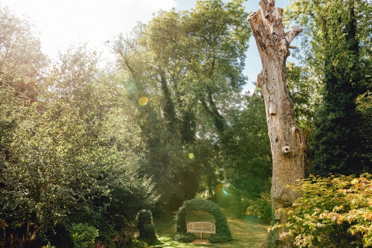 cripps bench under sunflare