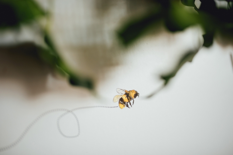 Bedales School Petersfield Hampshire Wedding Photography