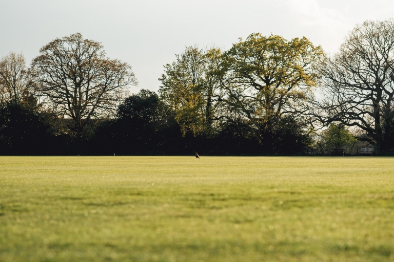 Bedales School Petersfield Hampshire Wedding Photography