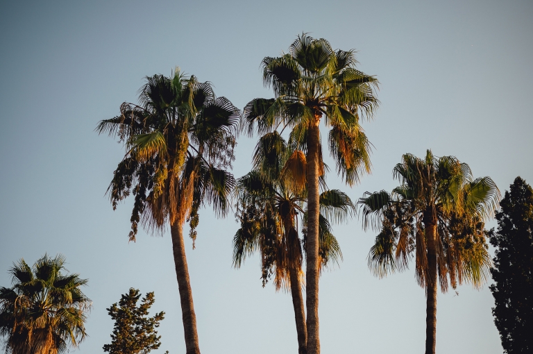 Estepona Spain Wedding Photography