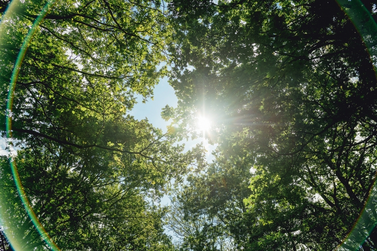 Wedding Photographers Herefordshire UK